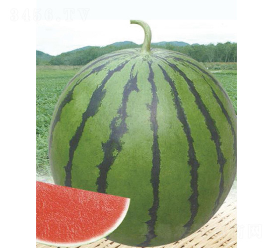 ������̖-���ϷN��-����