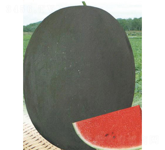 ī���̖(h��o)-���ϷN��-����