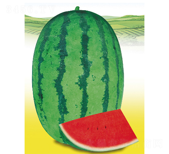 �޶�һ̖-���ϷN��-����