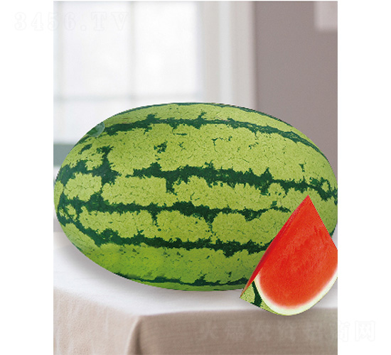 �޶���̖(h��o)-���ϷN��-����