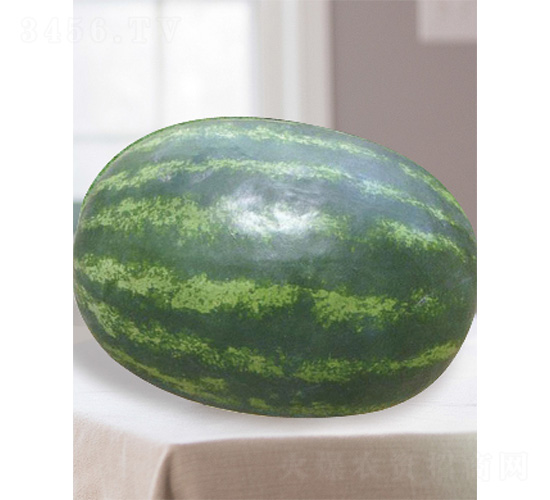 ���޶�̖(h��o)-���ϷN��-����