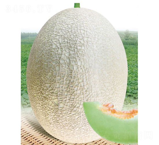 ������һ̖-��ϷN��-����