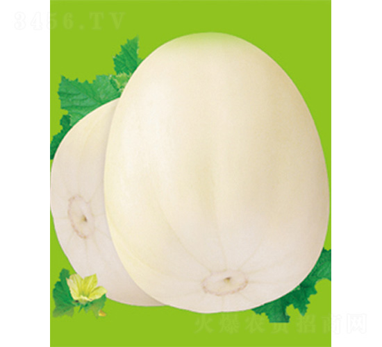 ���S��̖-��ϷN��-����