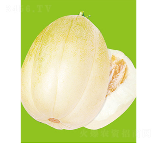 ���S��̖(h��o)-��ϷN��-����