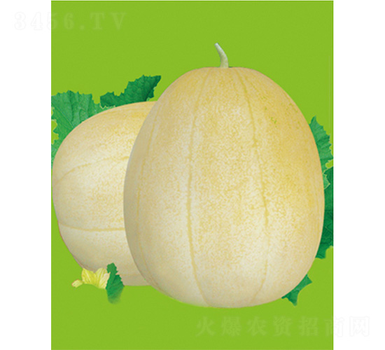 �O��25-��ϷN��-����