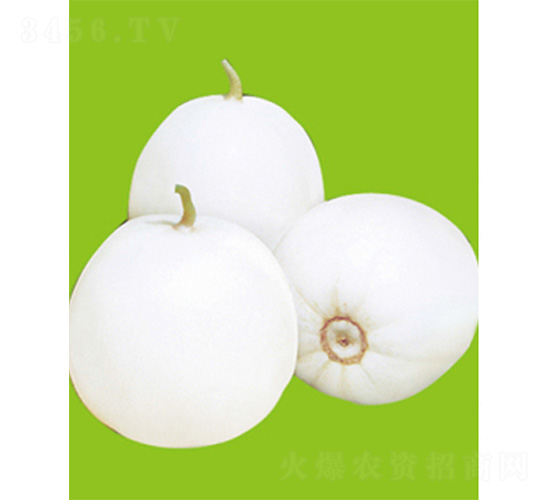 �O��20-��ϷN��-����