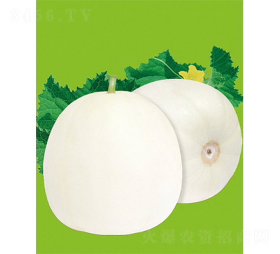 �O��18-��ϷN��-����