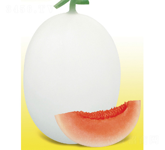 �״��̖(h��o)-��ϷN��-����