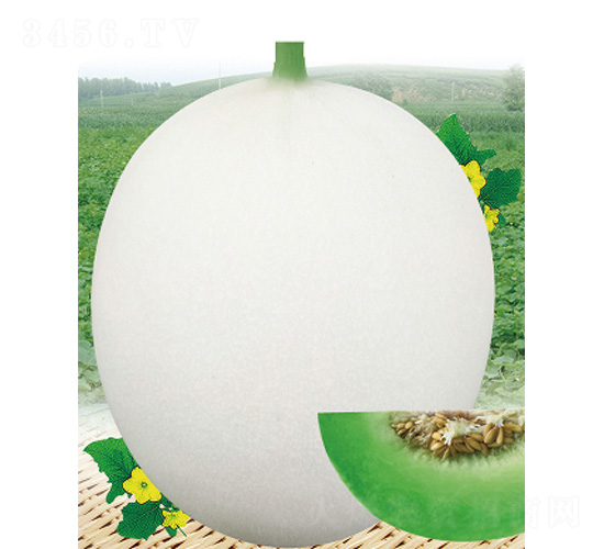 �״���̖(h��o)-��ϷN��-����