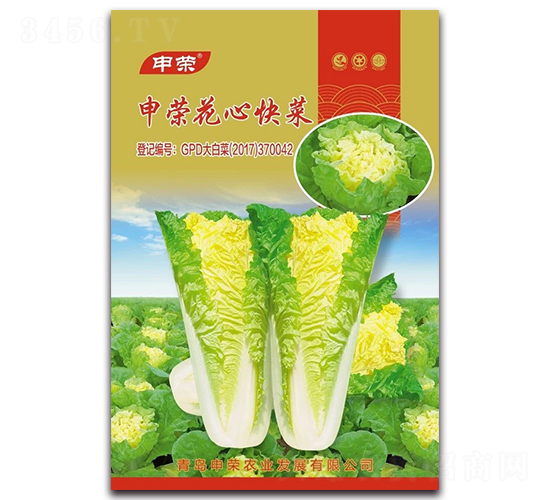 ��s���Ŀ��-��˷N��-��s�r�I(y��)