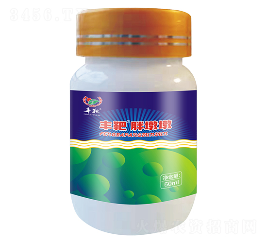 �S���ֶն�-�Zʿ�_(d��)