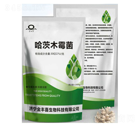 ����ľù��-���Sϲ����