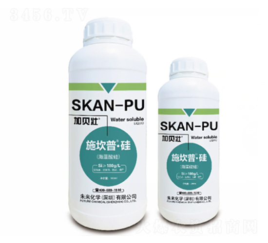 ʩ����-��-δ�����W