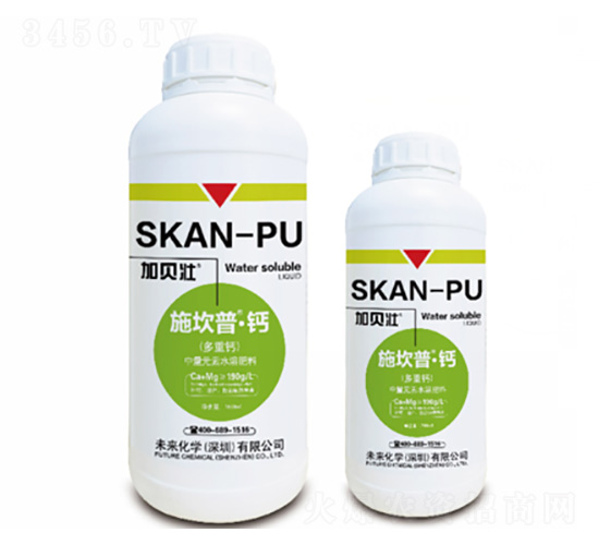 ʩ����-�}�������}��-δ�����W(xu��)