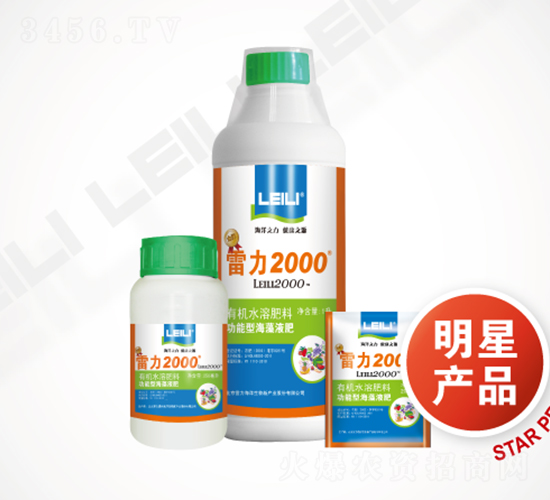 ����2000-����