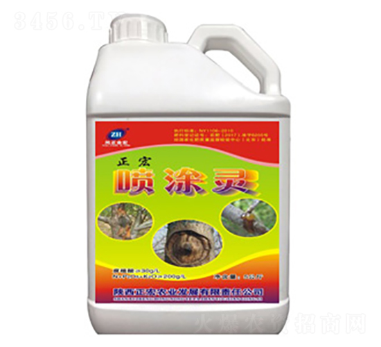 ��Ϳ�`-��������