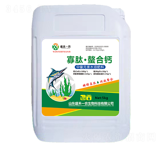 ���ġ������}-ʢ��һ�r