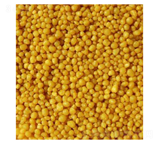 ���������@-����ʩ