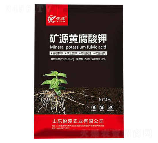 �VԴ�S�����-��Ϫ