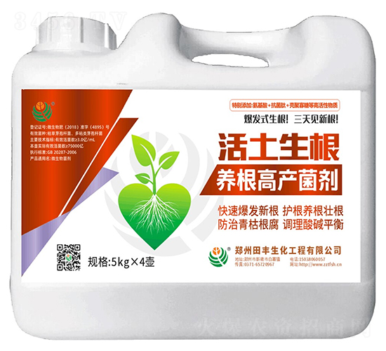 ��������-�۟o��