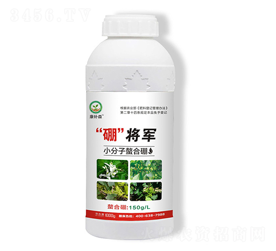 С����������-���aɭ