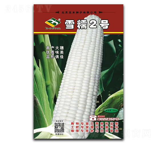 ѩŴ2̖-Ŵ���׷N��-���S