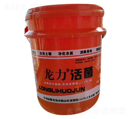 �������-��������