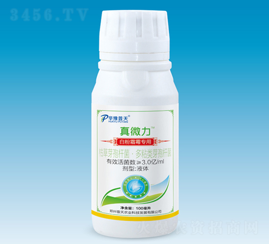 �׷�˪ù����΢�������-��΢��-�����r(n��ng)�I(y��)