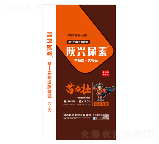 �������-�P�S�ʘI(y��)