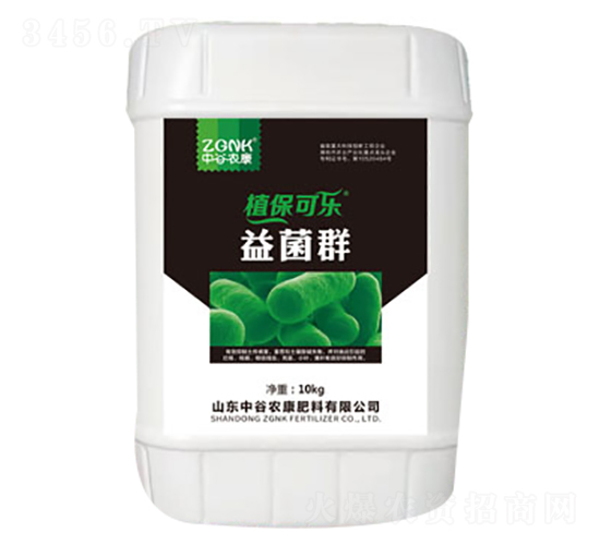 ���Ⱥ-ֲ���ɘ�-�й��r(n��ng)��