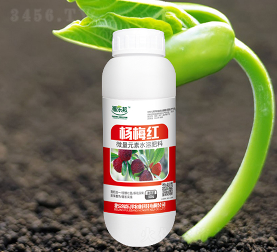 ΢��Ԫ��ˮ�ܷ���-��÷�t-������