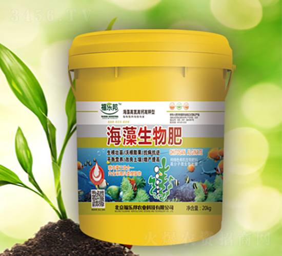 ���������-������