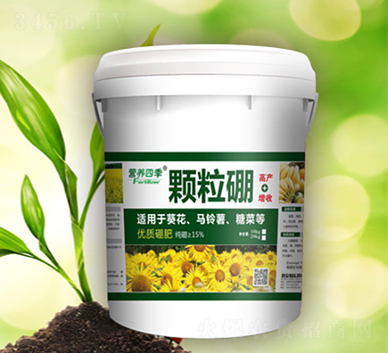 �I�B(y��ng)�ļ��w����-������