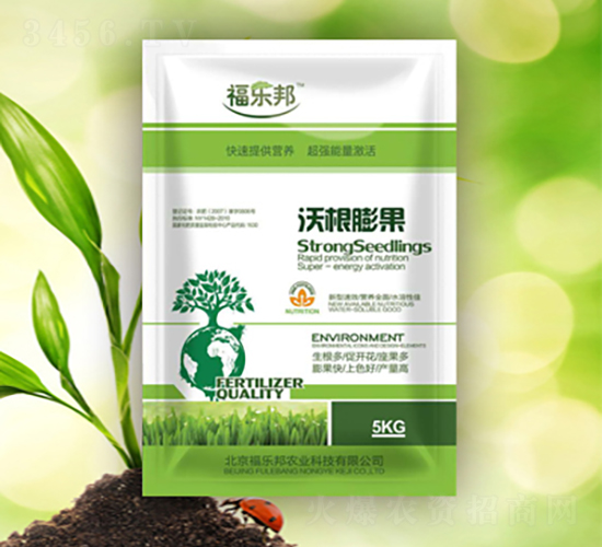 �ָ����-������