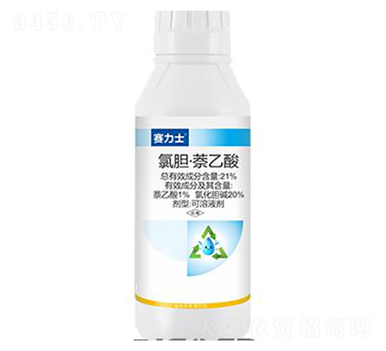 21%��đ��������-ِ��ʿ-��ِ��