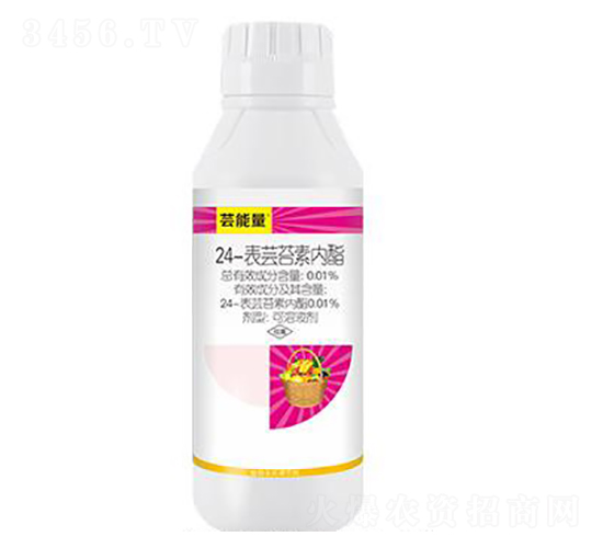 24-���|̦�؃�(n��i)��-�|����-��ِ��