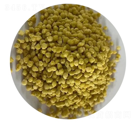 ���@�w�����Sɫ��-�ǈ�