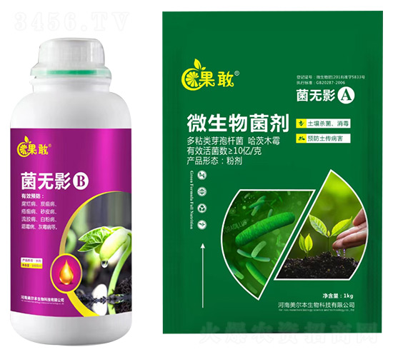 ���oӰA+B-����-����������