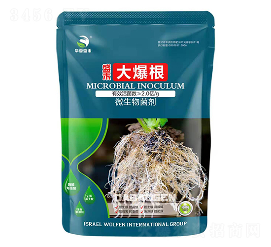 ΢�������-�󱬸�-ʢ��