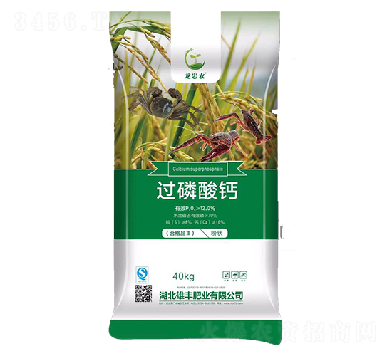 �^�����}-���S�ʘI(y��)