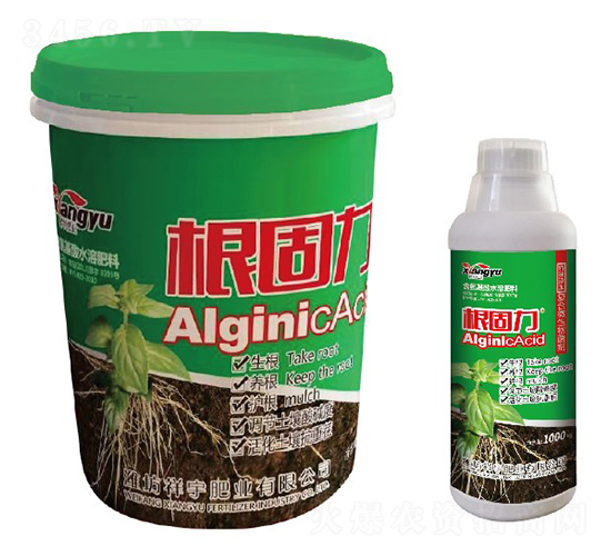 ��������(f��)��΢�������-����ʘI(y��)