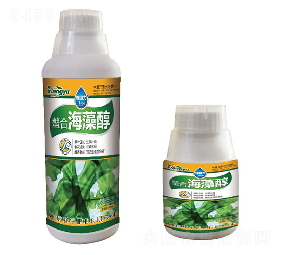 ���崼-����ʘI(y��)