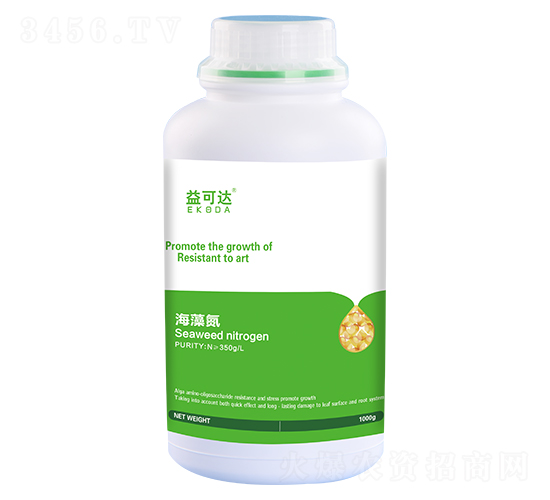 ���嵪-����_-�к̄���