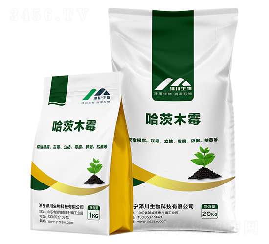 ����ľù-�ɴ�����