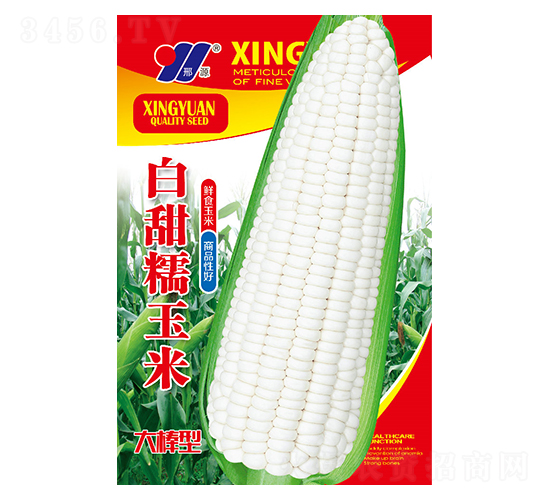 ����Ŵ-���׷N��-��Դ�r(n��ng)�I(y��)