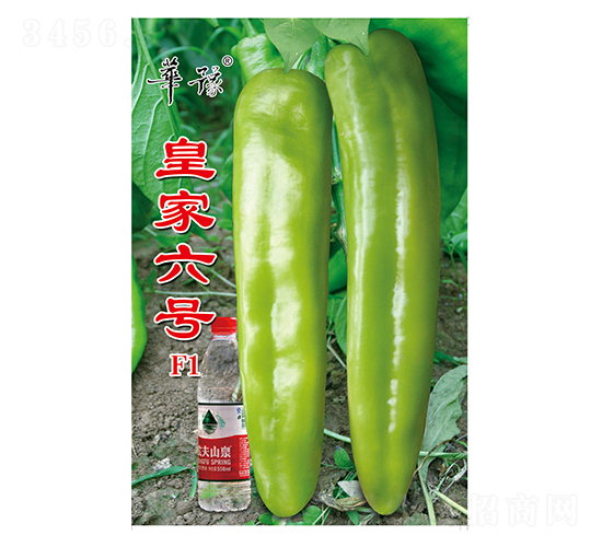 �ʼ���̖F1-�����N��-��Դ�r(n��ng)�I(y��)