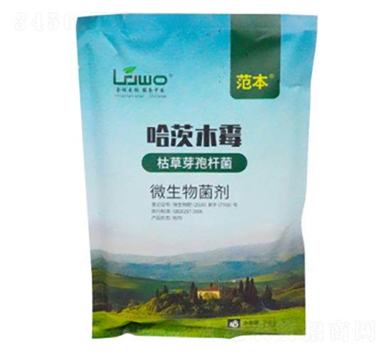 ����ľù����-����-��������