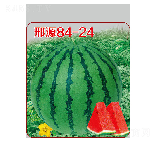 ��Դ84-24-���ϷN��-��Դ�r(n��ng)�I(y��)