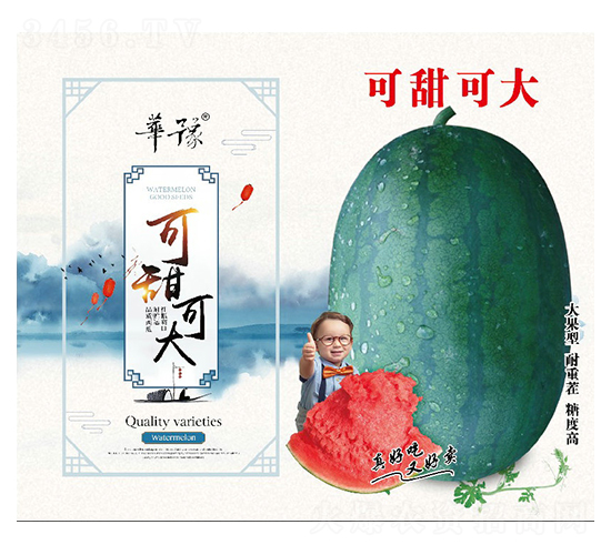 ����ɴ�-���ϷN��-��Դ�r(n��ng)�I(y��)