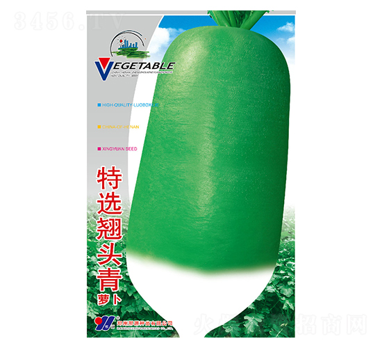 ���x�N�^��-���}���N��-��Դ�r(n��ng)�I(y��)